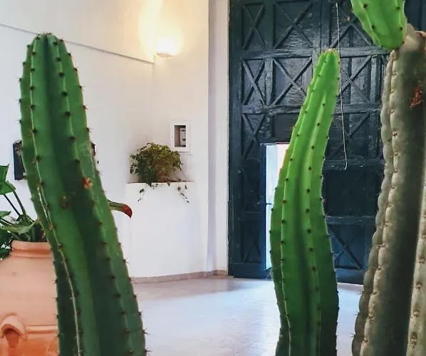 Exclusive Apartamento *