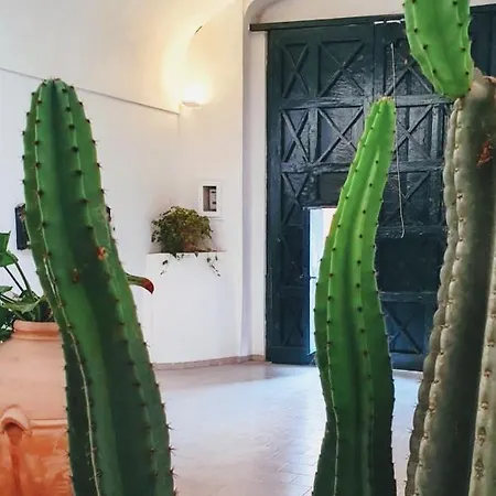 Exclusive Appartement *